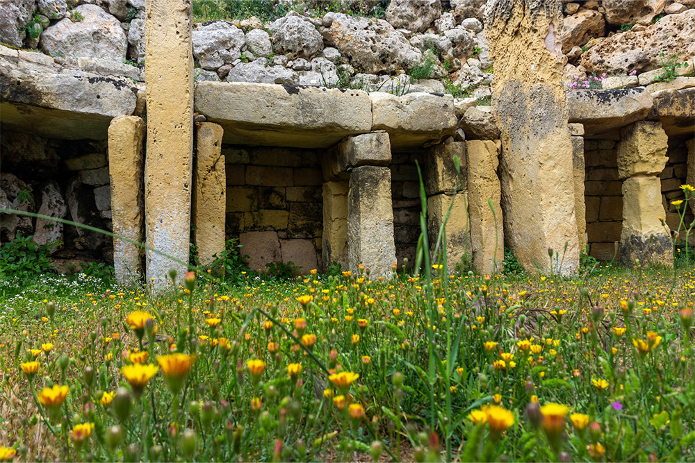 Ggantija prehistoric temples in Xaghra